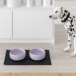 Bol Pour Chien Design Nordique Ole Hyvä -Produits Chien Chat Magasin Kind for Dogs Ole hyv dog bowl lavender