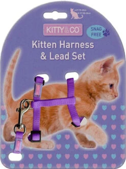 Harnais Réglable Et Laisse Pour Chaton 7 Harnais Réglable Et Laisse Pour Chaton -Produits Chien Chat Magasin Kitty Co Snag Free Purple Kitten Harness Lead Set