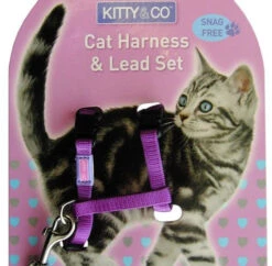 Harnais Et Laisse Couleur Unie Pour Chat 7 Harnais Et Laisse Couleur Unie Pour Chat -Produits Chien Chat Magasin Kitty and Co Snag Free Purple Cat Harness Lead Set 510x500 1