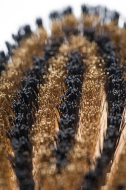 Brosse Pour Poils Courts Lila Loves It 11 Brosse Pour Poils Courts Lila Loves It -Produits Chien Chat Magasin Lila loves it 66