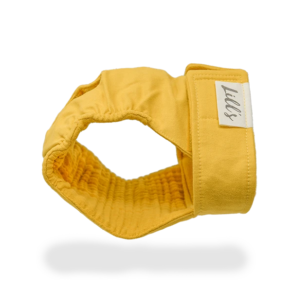 Culotte De Chaleurs Pour Chienne En Coton Bio 3 Culotte De Chaleurs Pour Chienne En Coton Bio