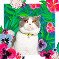 Collier Pour Chat En Cuir Louis Wain 15 Collier Pour Chat En Cuir Louis Wain -Produits Chien Chat Magasin LouisWain CheshireAndWain RachelOates Green Cat Collar 1800x1800 5e935efb caa2 4d8e bba9 d3451f03f747