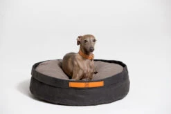 Coussin Pour Chat Et Chien Irvin (3 Couleurs) -Produits Chien Chat Magasin MG 0671