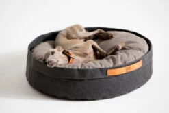 Coussin Pour Chat Et Chien Irvin (3 Couleurs) -Produits Chien Chat Magasin MG 0835