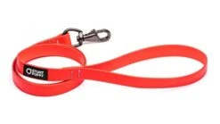 Laisse Biothane Imperméable (5 Couleurs) -Produits Chien Chat Magasin MG 6374 720x 7a40f1a5 4769 433b bc0a 509f883c9200