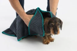 Serviettes Absorbante Sally 10 Serviettes Absorbante Sally -Produits Chien Chat Magasin MG 8502