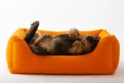 Panier Henri En Laine Casentino Duepuntootto -Produits Chien Chat Magasin MG 8704