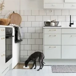 Bol Pour Chien Design Nordique Ole Hyvä -Produits Chien Chat Magasin Ole hyva dog ceramic bowl for tiny dogs