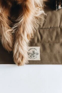 Matelas De Voyage Pour Chien Enroulable Compass Band & Roll 35 Matelas De Voyage Pour Chien Enroulable Compass Band & Roll -Produits Chien Chat Magasin Pawsonthebraunblanket 720x 9d6a52c4 2442 4a35 9a76 4b97f387698d