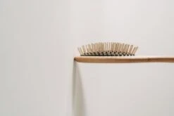 Brosse Chiens Poils Longs Lila Loves It -Produits Chien Chat Magasin Produkt Informationen Buerste Langhaar mit Griff 1000x667 1