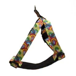 Harnais Pour Chien Over The Rainbow -Produits Chien Chat Magasin RHA6 444x445 f18b60fb b7ff 448c affd 424b89b4d741