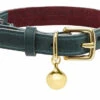 Collier En Cuir Pour Chat Rigby -Produits Chien Chat Magasin RIGBY PERSONALISED LEATHER CAT COLLAR LUXURY