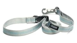 Laisse Souple Everyday (3 Couleurs) -Produits Chien Chat Magasin SP Leashes Large Silver 900x d4ccfeed 57c6 441c a8f2 fdf31e8d91d3
