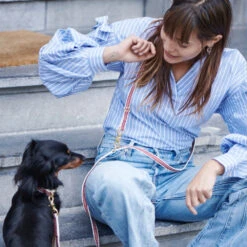 Laisse Pour Chien Chef L’Bark Rouge Et Crème -Produits Chien Chat Magasin Scene CheflBark Firered 02