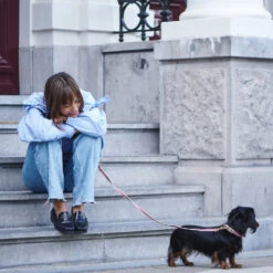 Collier Pour Chien Chef L’Bark Rouge Et Crème -Produits Chien Chat Magasin Scene CheflBark Firered 07