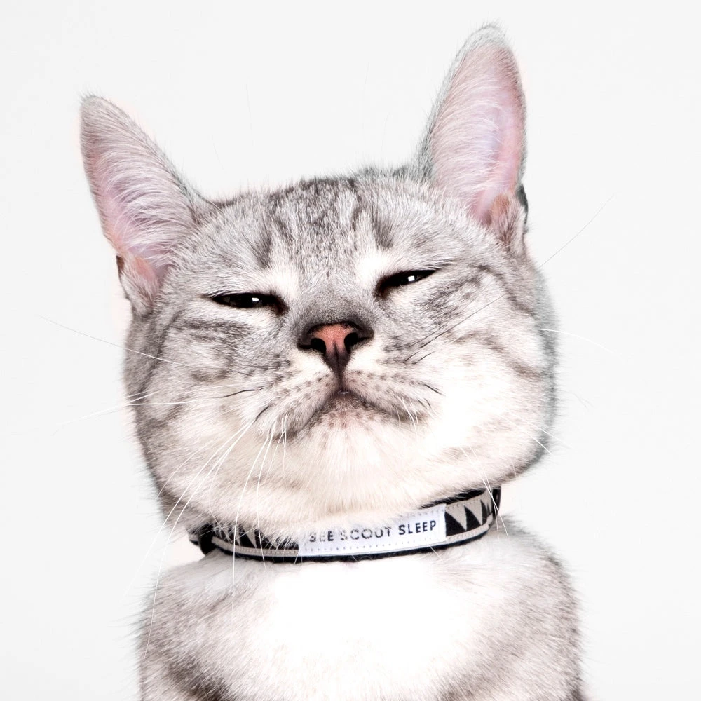 Collier Pour Chat Nice Grill Noir Et Crème 5 Collier Pour Chat Nice Grill Noir Et Crème – Image 3