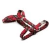 Harnais En H écossais Tremp -Produits Chien Chat Magasin T053HH tremppetit
