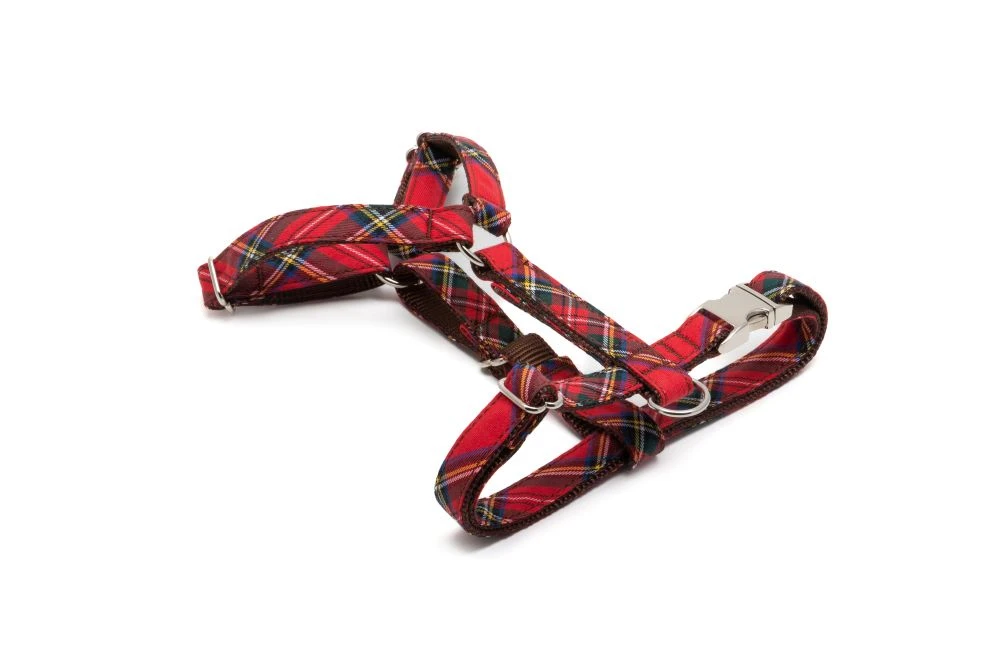 Harnais En H écossais Tremp