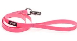 Laisse Biothane Imperméable (5 Couleurs)