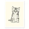 Affiche Décorative A4 Chaton 2 Affiche Décorative A4 Chaton -Produits Chien Chat Magasin a4 chat