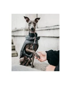 Manteau Pour Lévriers 21 Manteau Pour Lévriers -Produits Chien Chat Magasin abrigo grey and ribes principe de gales brott