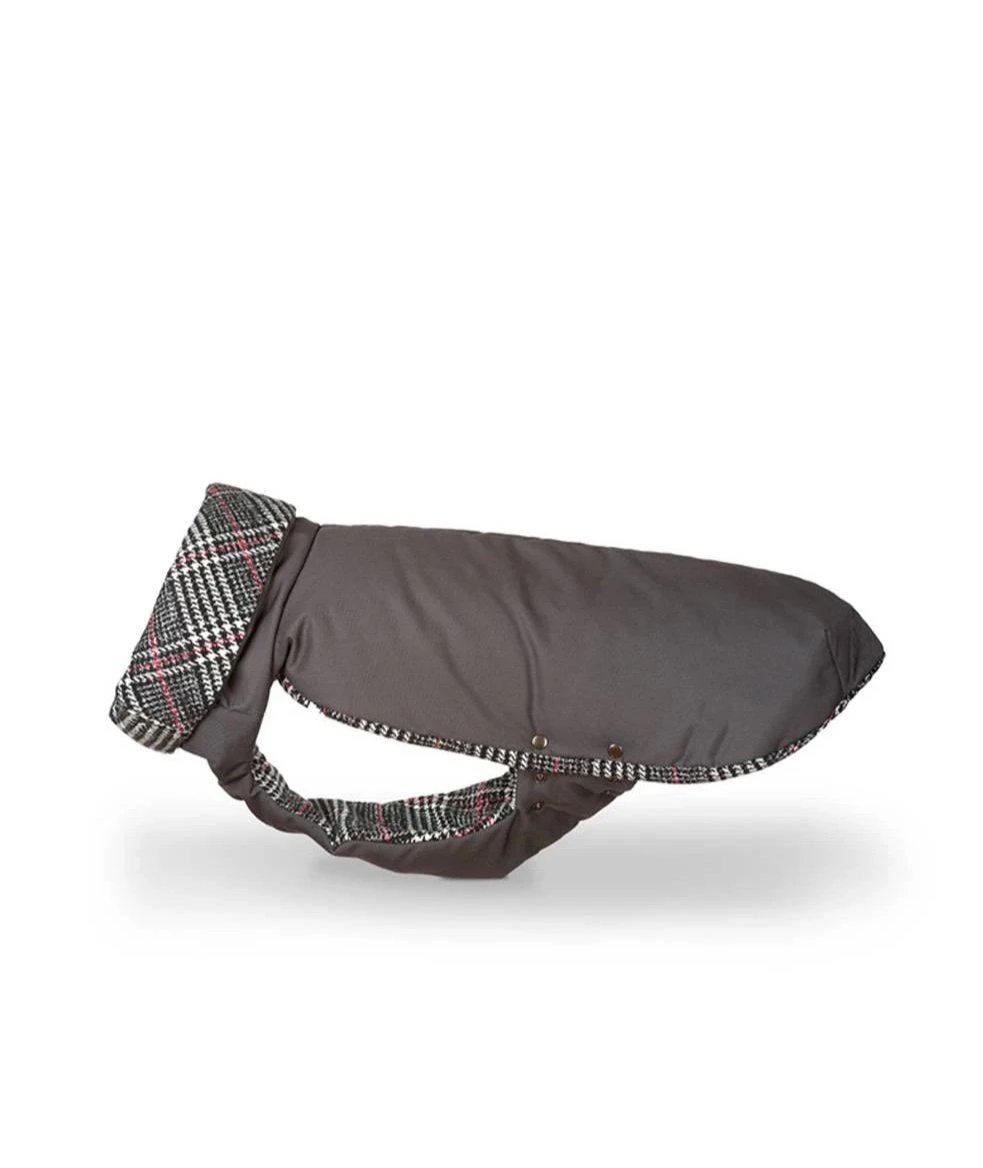 Manteau D'hiver Pour Lévriers 3 Manteau D'hiver Pour Lévriers