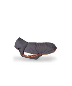 Manteau D'hiver Pour Lévriers 14 Manteau D'hiver Pour Lévriers -Produits Chien Chat Magasin abrigo para galgo hypster de color gris y textura er 36910fd3 1758 4f83 b51a 8eeeb41606ff