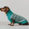 Pull Lisbonne Vert -Produits Chien Chat Magasin bbe331 7edbd7ca9f6647f78e391769bd5ab873 mv2 108b816e 76e6 4a7a af7c 21948bdf56dd