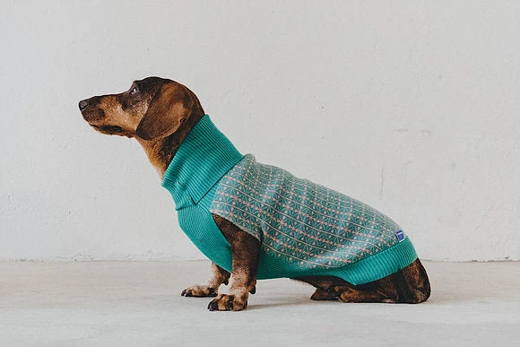 Pull Lisbonne Vert 3 Pull Lisbonne Vert