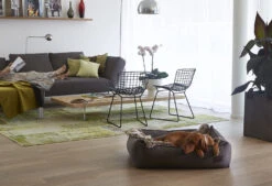 Couverture Plaid Pour Chat Lana -Produits Chien Chat Magasin bermueller 1 3603