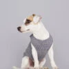 Pull Fin Pour Chien Agnes -Produits Chien Chat Magasin body agnes 2