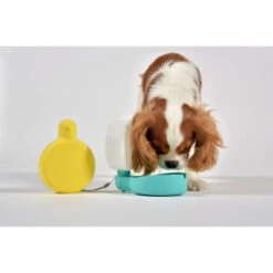 Gourde Pour Chien Avec Bol D’eau -Produits Chien Chat Magasin borraccia pingui acquamarina cane dettaglio