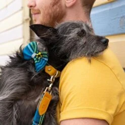 Noeud Papillon Pour Chien Shuka Blue -Produits Chien Chat Magasin bowtie 621x621 06539c95 8a13 4e9c b5b3 6f21f0c90d94