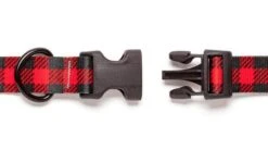 Collier Pour Chien Buffalo (2 Couleurs) -Produits Chien Chat Magasin buffalo2