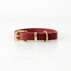 Collier Pour Chien En Cuir Souple The Classic -Produits Chien Chat Magasin butter dog collar chili red
