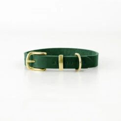 Collier Pour Chien En Cuir Souple The Classic -Produits Chien Chat Magasin butter dog collar forest green