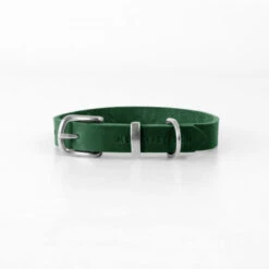 Collier Pour Chien En Cuir Souple The Classic -Produits Chien Chat Magasin butter dog collar forest green 08f3e88f fa38 4ab2 8695 aa3e45bb41b1