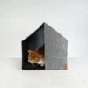 Maison Good Night -Produits Chien Chat Magasin cat good night4