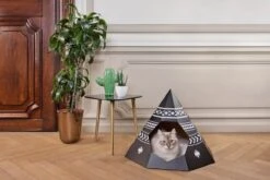 Tipi Pour Chat Design En Carton Recyclé (3 Couleurs) -Produits Chien Chat Magasin cattipi scene black1 lowres copy preview