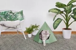 Tipi Pour Chat Design En Carton Recyclé (3 Couleurs) -Produits Chien Chat Magasin cattipi scene green lowres preview