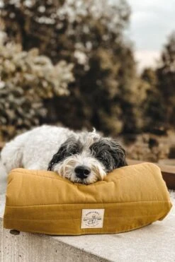 Matelas De Voyage Pour Chien Enroulable Compass Band & Roll 37 Matelas De Voyage Pour Chien Enroulable Compass Band & Roll -Produits Chien Chat Magasin cf04a81573bc75b8c31670d4c7ac9c8f