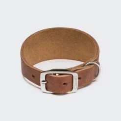 Collier En Cuir Pour Lévrier -Produits Chien Chat Magasin cloud7 dog collar regent park camel on grey