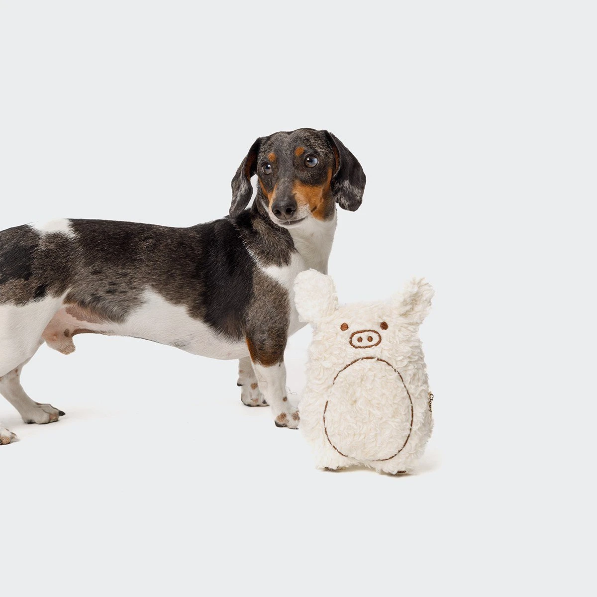 Jouet Pour Chien Cochon Harry 4 Jouet Pour Chien Cochon Harry – Image 2