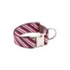 Collier Pour Chien Calella -Produits Chien Chat Magasin collar estampado raya marinera textura calella
