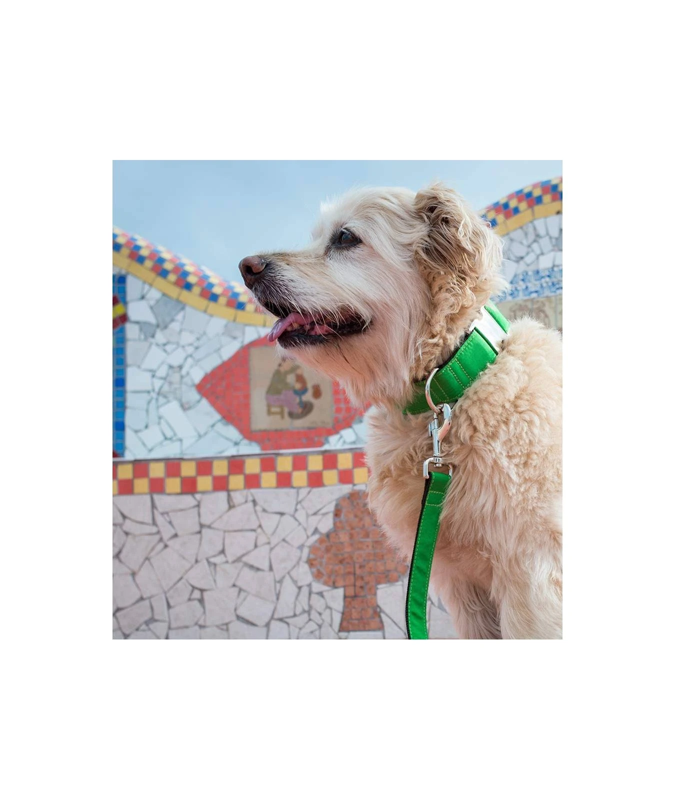 Laisse Pour Chien Solid Forest 4 Laisse Pour Chien Solid Forest – Image 2