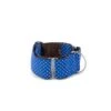 Collier Martingale +laisse Aiguaviva Pour Lévrier Galgo/greyhound -Produits Chien Chat Magasin collar para perro brottdog textura aiguaviva3