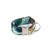 Collier Pour Chien Ebre -Produits Chien Chat Magasin collar para perro brottdog textura ebre