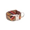 Collier Pour Chien Escranc -Produits Chien Chat Magasin collar para perro brottdog textura escranc