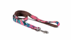 Laisse Pour Chien JUIA