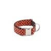 Collier Pour Chien ER -Produits Chien Chat Magasin collar para perros textura er brott